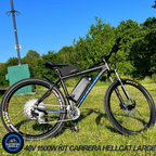 1500W E-Bike Conversion Kit Samsung 48V 20AH Battery SW900 Display Original MTX39 Rim Rear Wheel 7 Speed