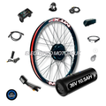 Ultimate MTX 250W E Bike Conversion Kit Cassette 7-11 Speed Rear Wheel LG 36V 10.5AH | 7AH | 48V